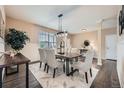 Formal dining room featuring modern light fixtures and stylish décor at 22991 Hope Dale Ave, Parker, CO 80138