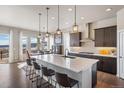 Modern kitchen with a large island, stainless steel appliances, pendant lighting and scenic view at 15773 Timber Trek Way, Monument, CO 80132