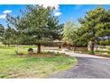 Exterior front view of a home with a stone and wood facade, surrounded by mature trees and lush lawn at 10895 Pheasant Run, Littleton, CO 80125