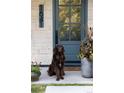 Charming blue front door with address numbers, flanked by potted plants, and featuring a sweet dog at 1641 S Corona St, Denver, CO 80210