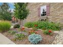 Well-maintained front yard with colorful flowers and healthy plants adding charm to this beautiful home at 3418 New Haven Cir, Castle Rock, CO 80109