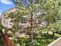 This backyard features a wooden deck, mature trees, a lawn, and a privacy fence at 6449 S Jamaica Cir, Englewood, CO 80111