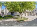 Home exterior showcasing the well-maintained lawn and attractive curb appeal in a quiet community at 13025 Grant E Cir # A, Thornton, CO 80241