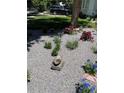 Landscaped front yard with gravel and various plants at 3736 S Lincoln St, Englewood, CO 80113