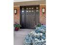 Elegant front door with sidelights, decorative glass, and brick facade creating a welcoming entrance at 3850 S Willow Way, Denver, CO 80237