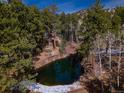 Secluded mountain pond surrounded by evergreens and other natural vegetation at 3945 Douglas Mountain Dr, Golden, CO 80403