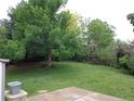 Lush, green backyard with mature trees providing ample shade; ideal for outdoor relaxation at 13651 Silverton Dr, Broomfield, CO 80020