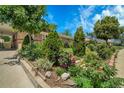 Landscaped front yard with blooming flowers, lush greenery, and decorative rocks along the sidewalk at 7101 Alan Dr, Denver, CO 80221