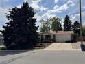 Nice single story home with a mature tree in the front yard with a big front yard at 1843 S Urban Way, Lakewood, CO 80228