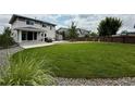 A well-maintained backyard featuring a spacious lawn, privacy fence and mature trees at 3029 Merlin Dr, Brighton, CO 80601