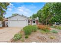 Well-maintained home featuring a lush front yard with vibrant flowerbeds, providing great curb appeal at 4194 S Kalispell St, Aurora, CO 80013