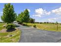 A long paved driveway leading to a secluded home with large green trees at 3048 Deer Creek Ranch Loop, Parker, CO 80138