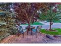 Cozy outdoor seating area with chairs under a shady tree in front of home at 12350 Turquoise Terrace St, Castle Pines, CO 80108