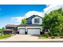 Charming two-story home with a well-maintained lawn, mature trees, and a welcoming front entrance at 10890 Willow Reed West Cir, Parker, CO 80134