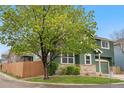Green two-story home with a stone facade and a large, mature tree in the front yard at 2119 W 101St Cir, Thornton, CO 80260