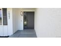 Close-up of the front door, showcasing the modern design and sleek hardware at 10297 W Crestone Mtn, Littleton, CO 80127
