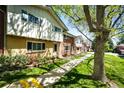 Well-kept townhouses with neat landscaping and tree-lined walkways, showcasing suburban charm at 12632 W Virginia Ave, Lakewood, CO 80228
