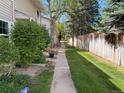 Green grass surrounds a sidewalk leading to the homes with mature trees at 1967 S Oakland Way, Aurora, CO 80014