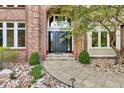 Stately home front door with stone walkway and manicured garden bed, leading to a welcoming entryway at 51 Falcon Hills Dr, Highlands Ranch, CO 80126