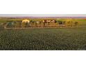 This ranch property has a large barn and a mountain view at 4075 Merada Ct, Franktown, CO 80116