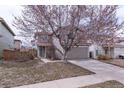 View of a two-story house, with a garage and a small tree at 4081 Odessa St, Denver, CO 80249
