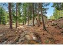 Secluded home featuring a stream and a cozy outdoor seating area in a wooded setting at 34788 Forest Estates Rd, Evergreen, CO 80439