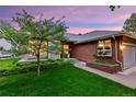 Well-manicured front yard featuring lush lawn, mature tree, and brick accents at 13 Pinyon Pine Rd, Littleton, CO 80127