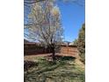 Fenced backyard featuring a tree with white blooms, landscaping and lush green grass at 4483 S Fundy St, Centennial, CO 80015
