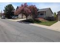 A pleasant home exterior with a mature, blossoming tree in a well-kept yard at 4483 S Fundy St, Centennial, CO 80015