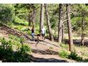 People enjoy a leisurely walk with their dog on a scenic trail through lush greenery at 3967 Descent St, Castle Rock, CO 80108