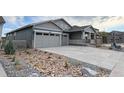 Charming single-Gathering home featuring a 2-car garage, covered porch, and professionally landscaped front yard at 3967 Descent St, Castle Rock, CO 80108