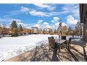 Spacious backyard with patio furniture and a large snow-covered lawn at 1021 Neptunite Pl, Castle Rock, CO 80108