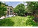 View of backyard with grass and trees, patio area has table and chairs with blue outdoor rug at 2868 Breezy Ln, Castle Rock, CO 80109