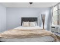 Cozy bedroom with light blue walls, neutral decor, and natural light from the window at 2281 Vaughn # 104A, Aurora, CO 80014