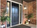 Inviting front entrance with a stylish black door framed by white trim, brick accents, and decorative plants at 7873 Sweet Water Rd, Lone Tree, CO 80124