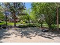 Backyard basketball court with adjustable hoop is surrounded by mature trees and professionally landscaped yard at 1193 Phipps Ct, Highlands Ranch, CO 80126