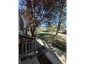 Inviting front yard with a lush lawn and mature trees at 11576 E Bayaud Dr, Aurora, CO 80012