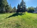 A well-manicured front lawn features mature trees casting shadows and a glimpse of nearby homes on a sunny day at 11576 E Bayaud Dr, Aurora, CO 80012