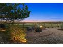 Outdoor fire pit area with seating and scenic views, perfect for evening relaxation and entertaining at 1302 Milbury St, Castle Rock, CO 80104