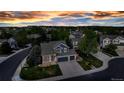 A bird's-eye view of a blue home nestled in a vibrant neighborhood filled with mature trees and greenery at 12430 S Downy Creek Ct, Parker, CO 80134