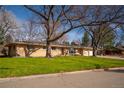 Ranch home with mature trees and a well-manicured lawn creating a welcoming curb appeal at 430 Long View Ct, Longmont, CO 80501