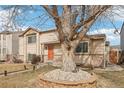 Charming tan two-story home with an orange front door and a large mature tree in the front yard at 4314 Nepal St, Denver, CO 80249