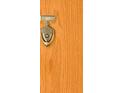 Close up of a wood door with a silver colored knocker and the number 507 at 5955 E 10Th Ave # 507, Denver, CO 80220