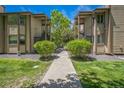A well-manicured walkway between two-story condominiums, framed by green lawns and healthy bushes at 1111 S Garrison St # 202, Lakewood, CO 80232