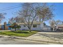 Gray house with mature trees and a fenced yard at 4855 Dover St, Arvada, CO 80002