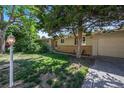 Home featuring manicured lawn and mature tree, offering shade and curb appeal at 6780 Allison St, Arvada, CO 80004