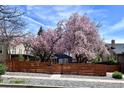 Beautiful home with wood fence and pretty blooming trees that add privacy and curb appeal at 2942 Chase St, Wheat Ridge, CO 80214