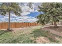 Spacious fenced backyard with mature trees and partial landscaping at 1062 Jasper St, Aurora, CO 80011