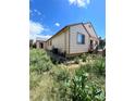 Home's backyard with access to deck and overgrown landscaping at 2239 S Truckee St, Aurora, CO 80013