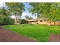 Expansive backyard with well-maintained lawn, mature trees, patio and manicured mulch beds at 2391 S Quitman St, Denver, CO 80219